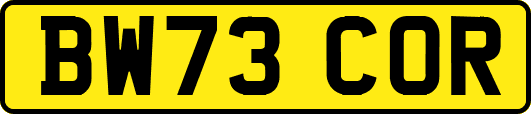 BW73COR
