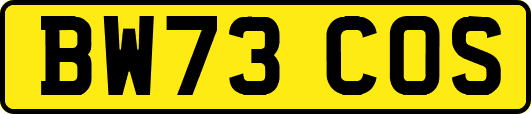 BW73COS