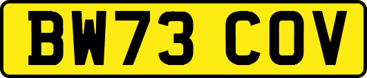 BW73COV