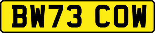 BW73COW