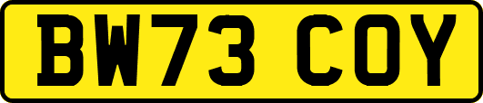 BW73COY