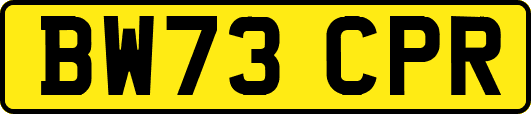 BW73CPR