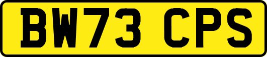 BW73CPS
