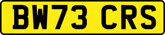 BW73CRS