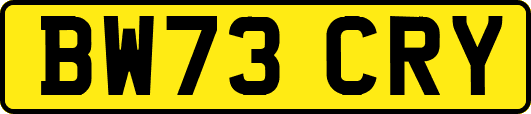 BW73CRY