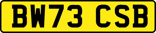 BW73CSB