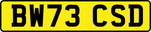 BW73CSD