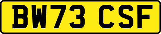 BW73CSF