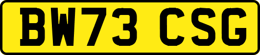 BW73CSG