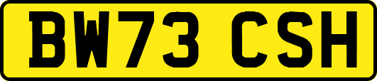 BW73CSH