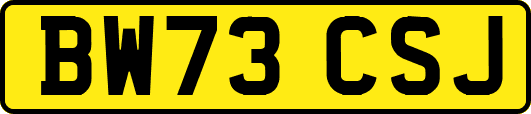 BW73CSJ
