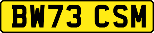 BW73CSM