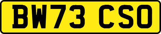 BW73CSO
