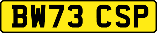 BW73CSP