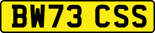 BW73CSS