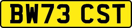 BW73CST