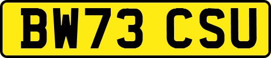 BW73CSU