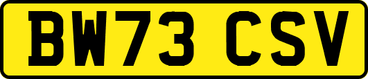 BW73CSV