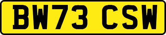 BW73CSW