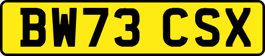 BW73CSX