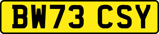 BW73CSY