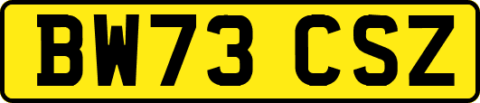 BW73CSZ