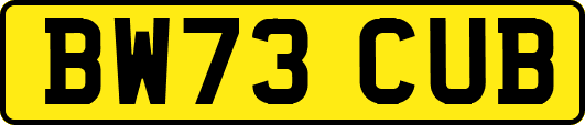 BW73CUB