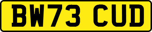 BW73CUD