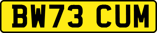BW73CUM