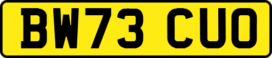 BW73CUO