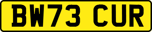 BW73CUR