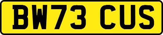 BW73CUS