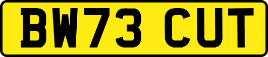 BW73CUT