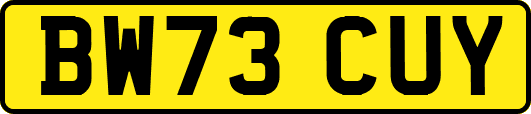 BW73CUY