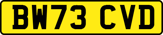 BW73CVD