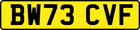 BW73CVF