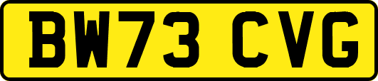BW73CVG