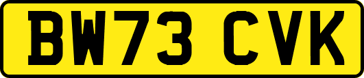 BW73CVK