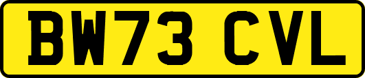 BW73CVL