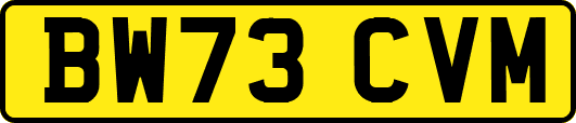 BW73CVM