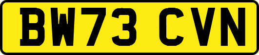BW73CVN