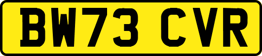 BW73CVR