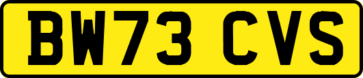 BW73CVS