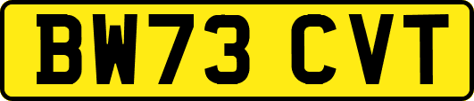 BW73CVT