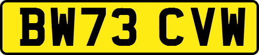 BW73CVW