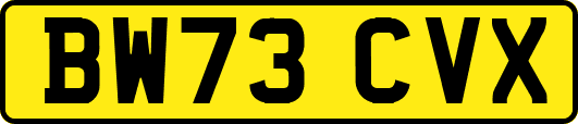 BW73CVX