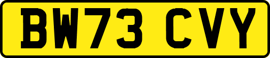 BW73CVY
