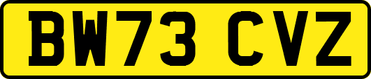BW73CVZ
