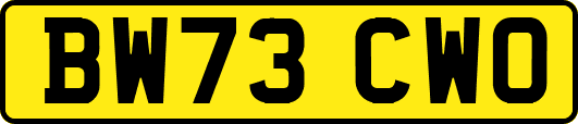 BW73CWO
