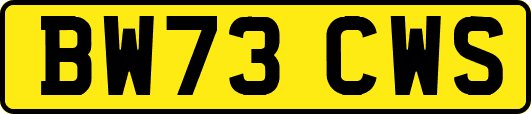 BW73CWS